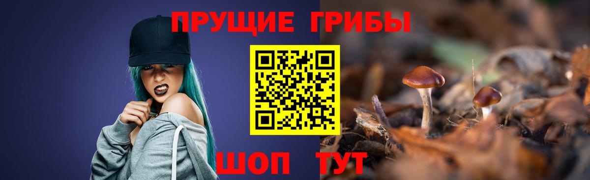 Котовск  Псилоцибиновые грибы MAGIC MUSHROOMS  Вход с VPN 
